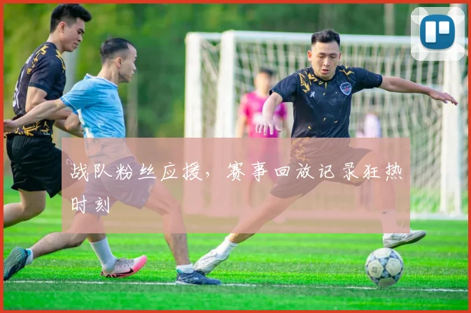 战队粉丝应援,赛事回放记录狂热时刻