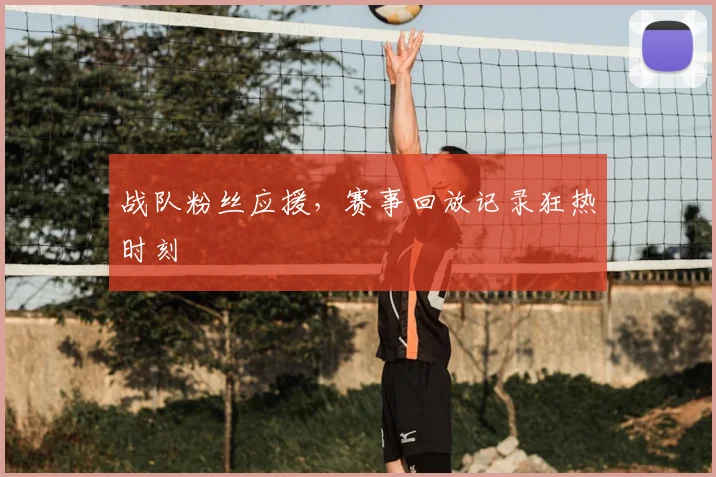 战队粉丝应援，赛事回放记录狂热时刻